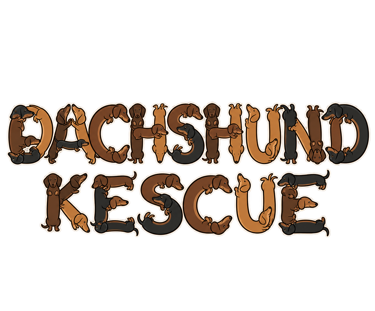 Dachshund Rescue Dog Lettering Graphic T-Shirt & Sweatshirt
