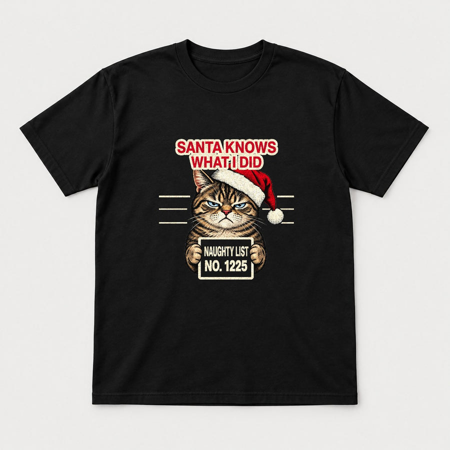 Santa Knows What I Did Grouchy Cat Naughty List Graphic T-Shirt & Sweatshirt