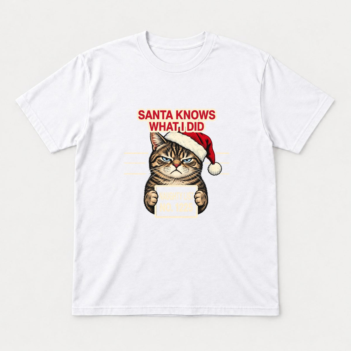 Santa Knows What I Did Grumpy Cat Naughty List Graphic T-Shirt & Sweatshirt - Tshirt White Front
