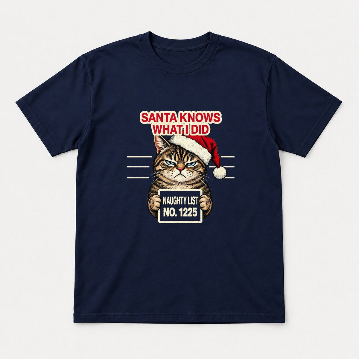 Santa Knows What I Did Grumpy Cat Naughty List Graphic T-Shirt & Sweatshirt - Tshirt Navy Front