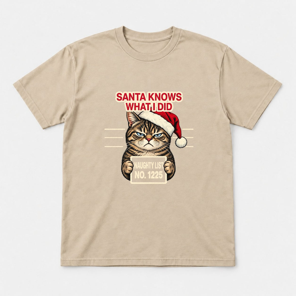 Santa Knows What I Did Grumpy Cat Naughty List Graphic T-Shirt & Sweatshirt - Tshirt Sand Front