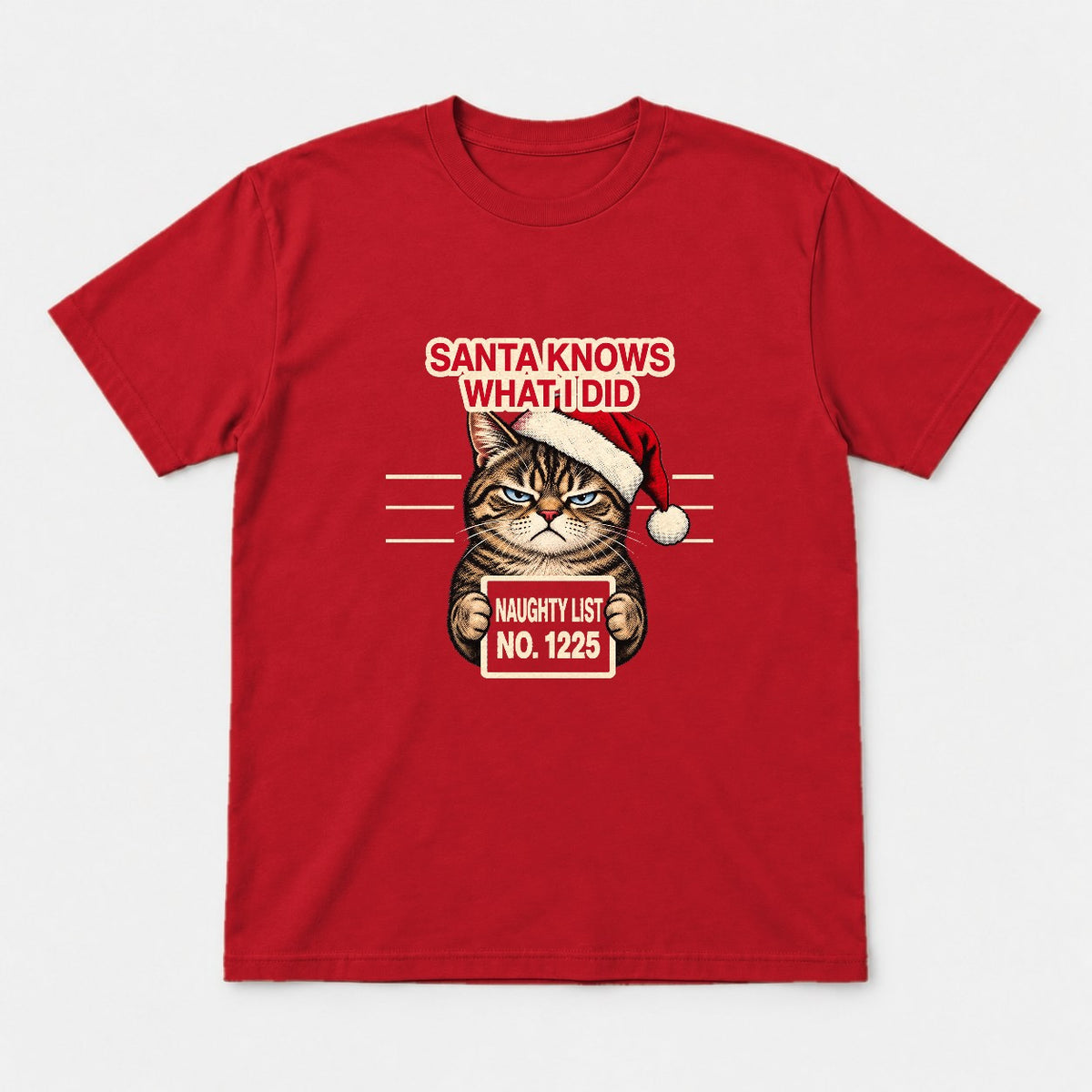 Santa Knows What I Did Grumpy Cat Naughty List Graphic T-Shirt & Sweatshirt - Tshirt Red Front