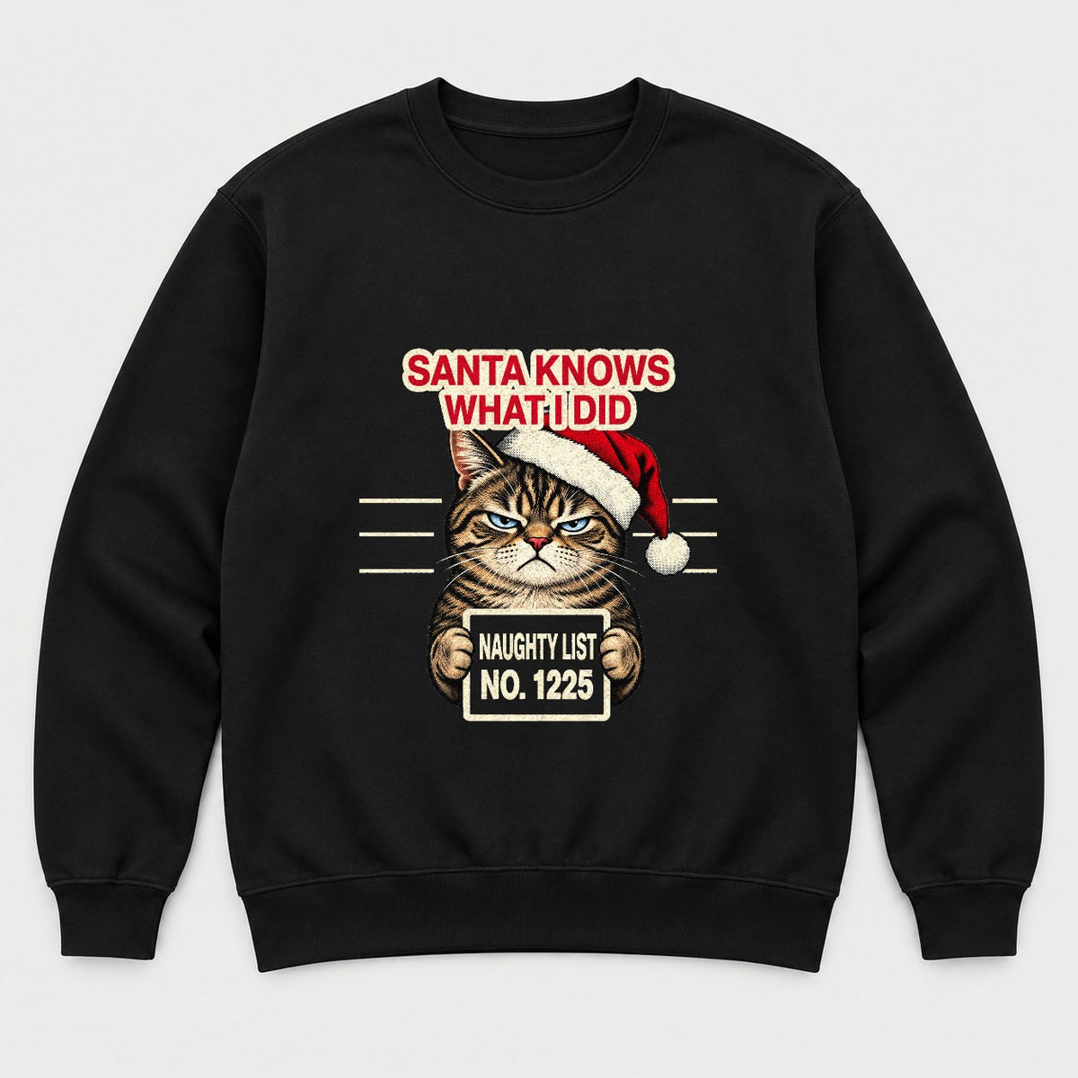 Santa Knows What I Did Grumpy Cat Naughty List Graphic T-Shirt & Sweatshirt - Sweatshirt Black Front