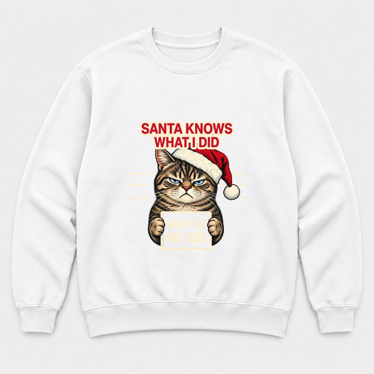 Santa Knows What I Did Grumpy Cat Naughty List Graphic T-Shirt & Sweatshirt - Sweatshirt White Front
