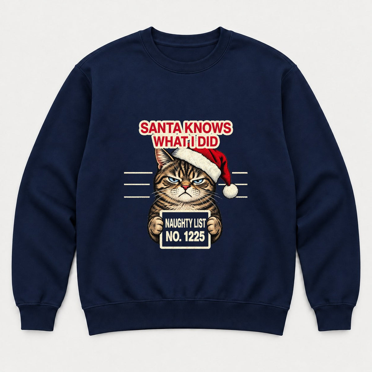 Santa Knows What I Did Grumpy Cat Naughty List Graphic T-Shirt & Sweatshirt - Sweatshirt Navy Front