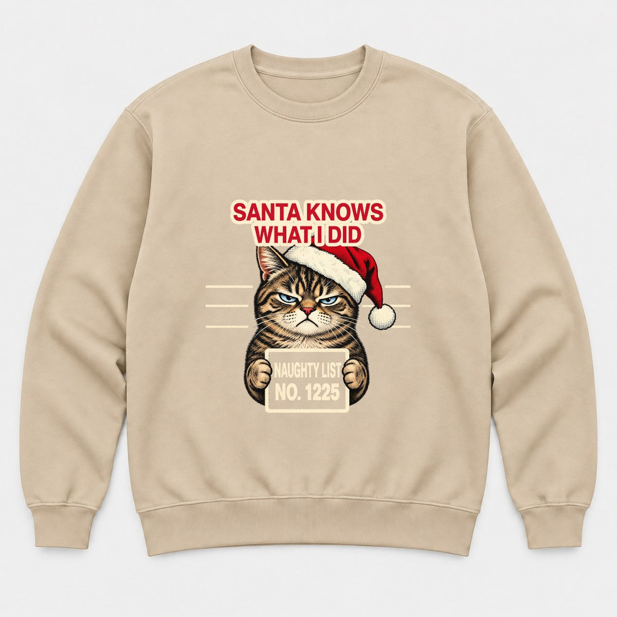Santa Knows What I Did Grumpy Cat Naughty List Graphic T-Shirt & Sweatshirt - Sweatshirt Sand Front