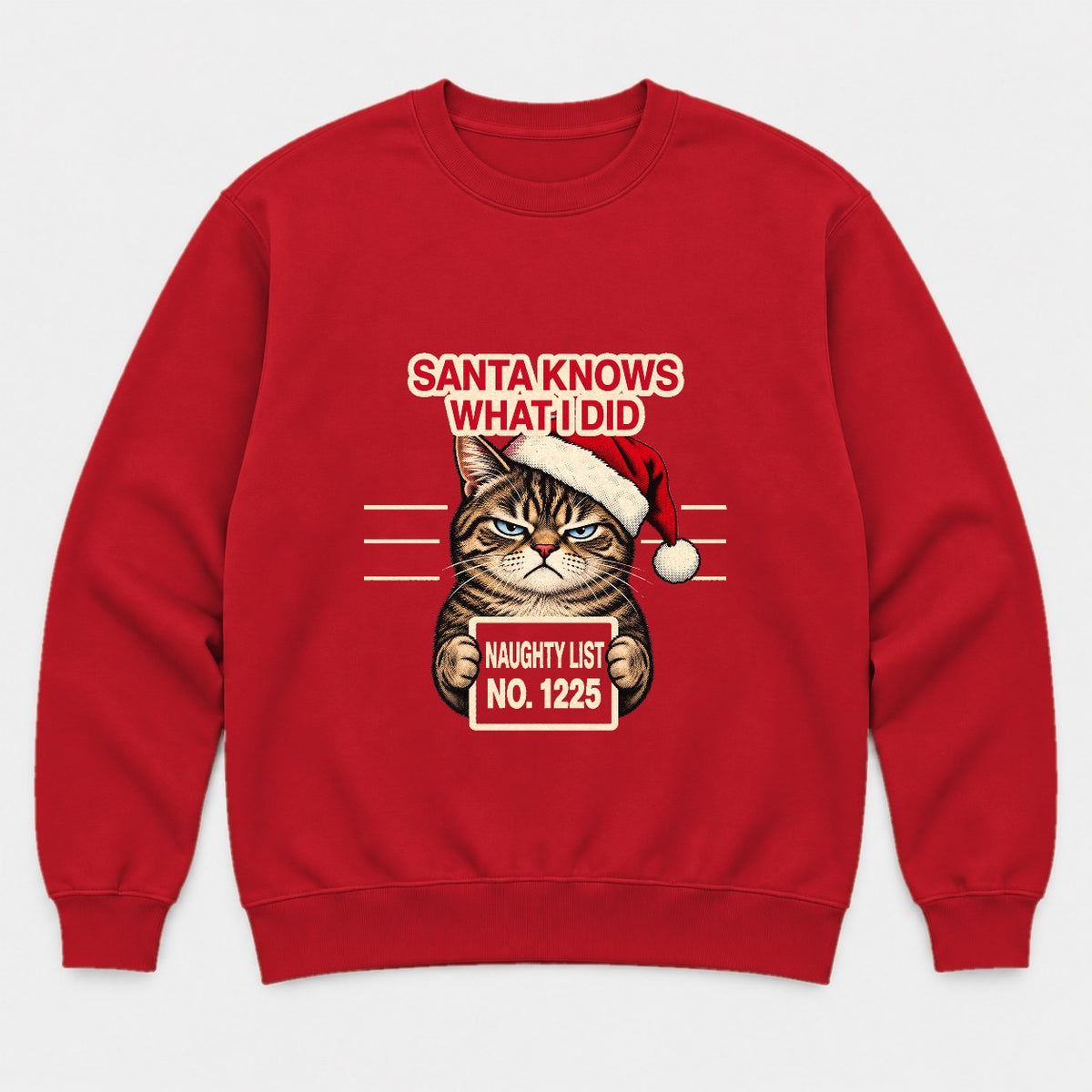 Santa Knows What I Did Grumpy Cat Naughty List Graphic T-Shirt & Sweatshirt - Sweatshirt Red Front